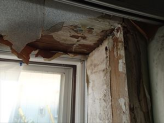 ボロボロになった木枠